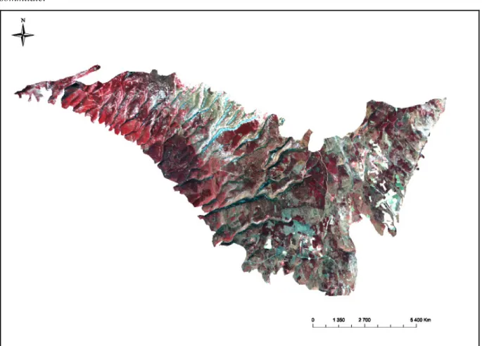 Figure 3.  Zone  de  travail,  versant  Sud  de  Mont  Ventoux,  à  partir  de  800m  d’altitude,  sans  la  calotte  sommitale