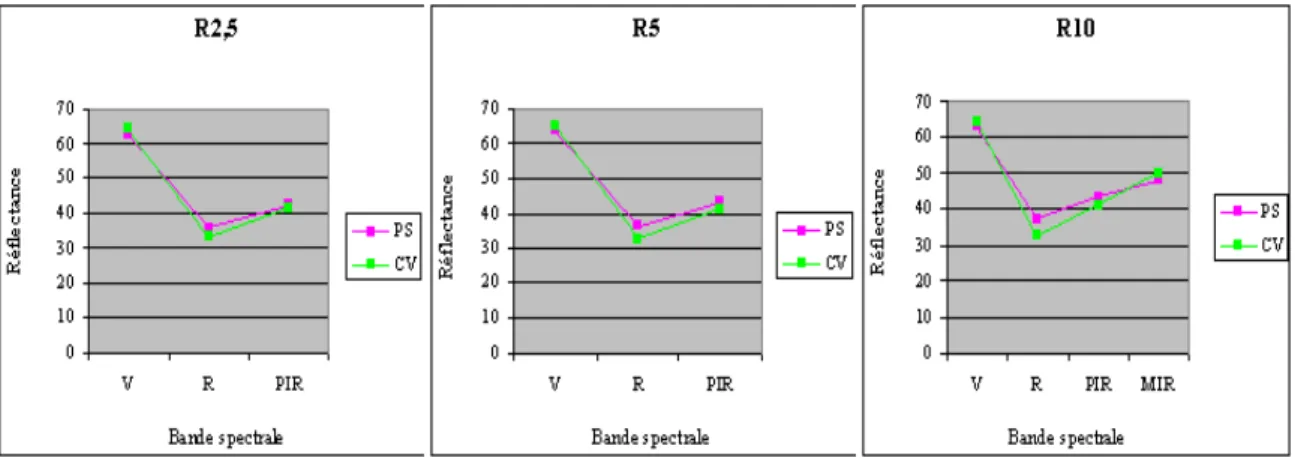 Figure 15.  La  ressemblance  des  signatures  spectrales  du  pin  sylvestre  et  du  chêne  vert  en  fonction  de  la  résolution spatiale