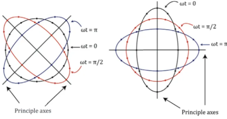 Figure 1.1: Motion of test particles for two linearly polarized states.