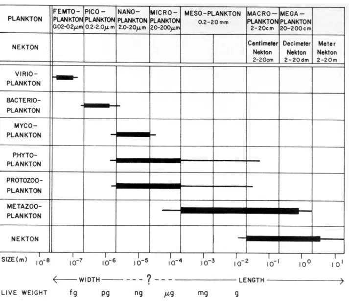 Figure I-1: Distribution des différents compartiments trophiques du plancton selon leur  classe de taille