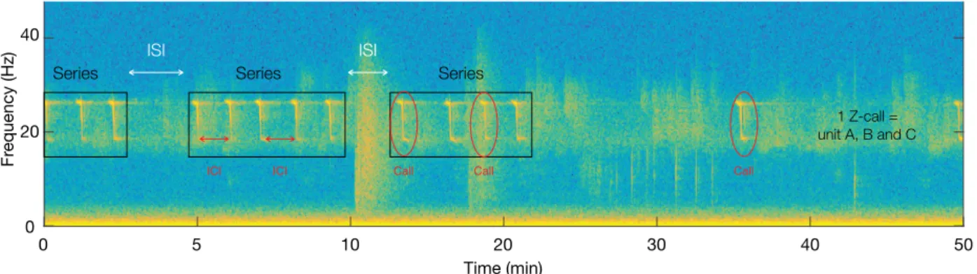 Figure 2.10: Illustration of units, call, ICI, series and ISI definitions on an ABW song.