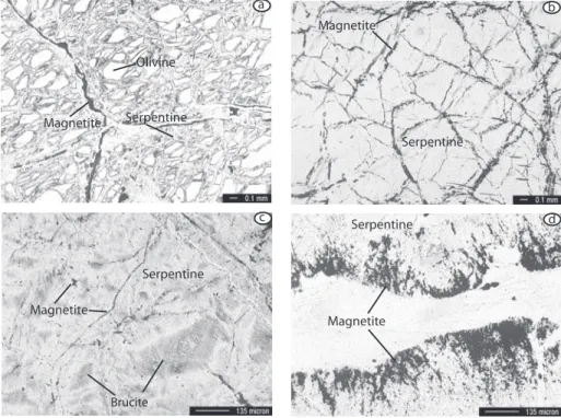 Figure 3. Natural remanent magnetization (NRM) and Koenigsberger ratio (Q) in 245 serpentinized peridotite samples, as a function of the low field magnetic susceptibility (K)