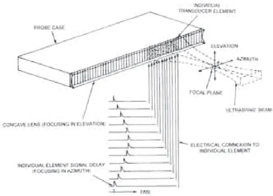 Figure 1.4: Linear transducer array with lens focusing in elevation and electronically-controlled focusing in azimuth [7].