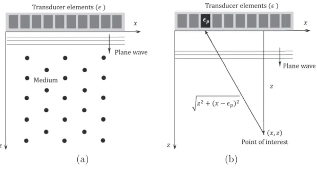 Figure 1.5: Plane-wave imaging schemes: (a) transmission and (b) coherent re- re-construction in receive.