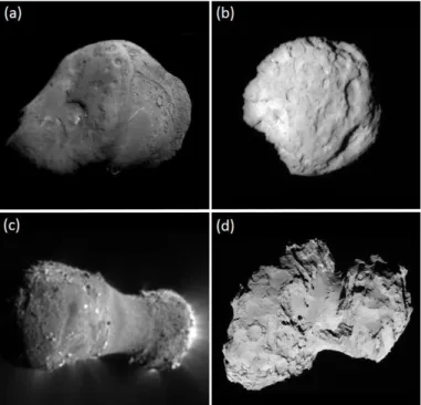 Fig. 1. A family portrait of the comets imaged by recent space missions.