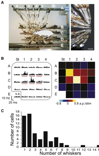 Figure 1. Characterization of Receptive Field Maps