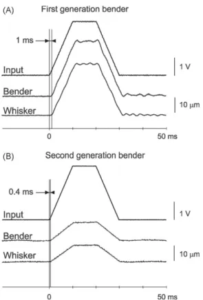Fig. 9. (A) Peri-stimulus time histograms (PSTHs) of multi-unit responses to a sparse noise stimulation of 24 whiskers loaded to the stimulator