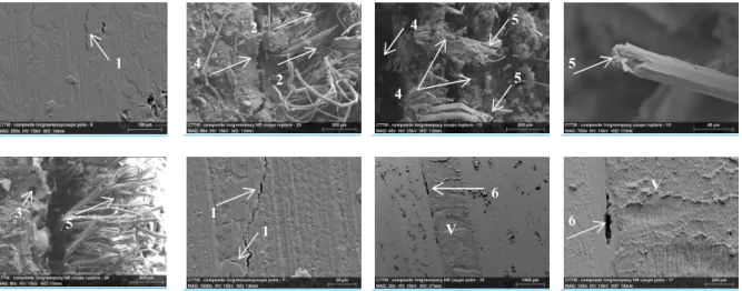 Figure   2-22.  Observations microscopiques des modes d’endommagement des composites  stratifiés élastiques et viscoélastiques