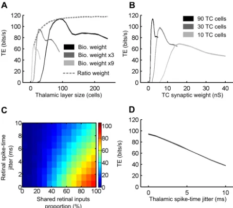 Figure VII-2: Network geometry affects the retinocortical signal transfer in computo A