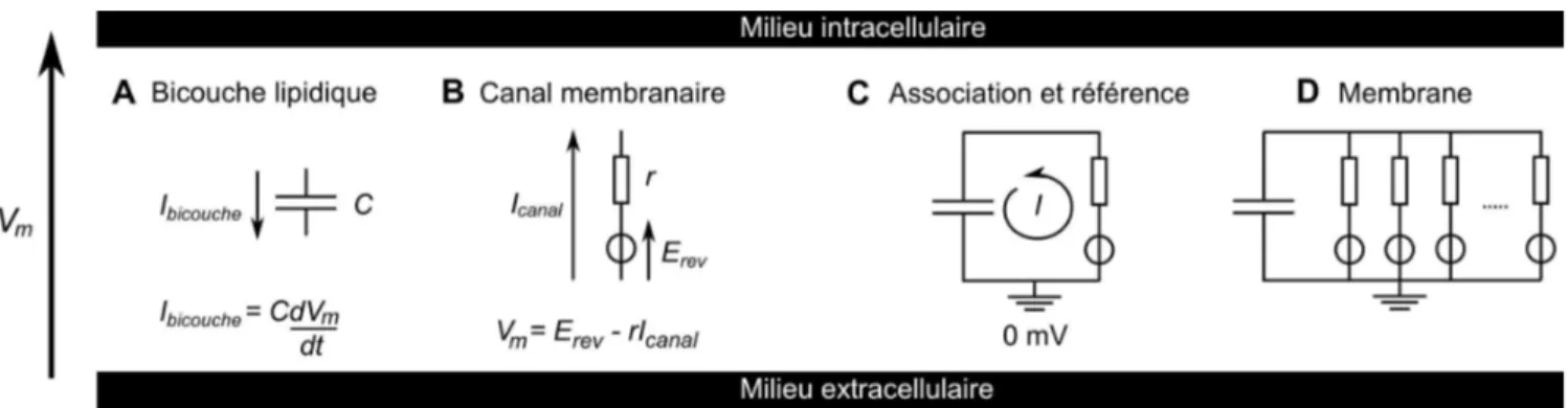 Figure IV-1