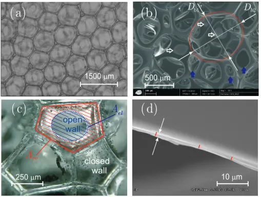 Figure III.2: Characterizations of dried-gelatin foam materials: top view of foam sample (a), degree of anisotropy (b), membrane closure rate (c), and membrane thickness (d).