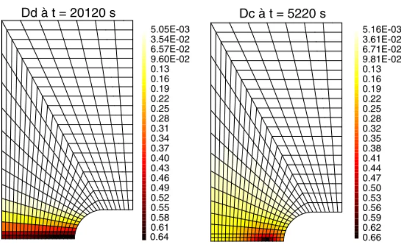 Figure 1. Répartition spatiale des deux endommagements intra- et inter-granulaire.