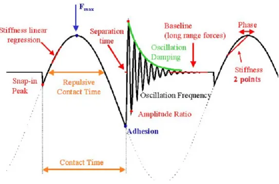 Figure 2-5: Schéma du signal de déflexion résumant les informations pouvant être recueillies [5]