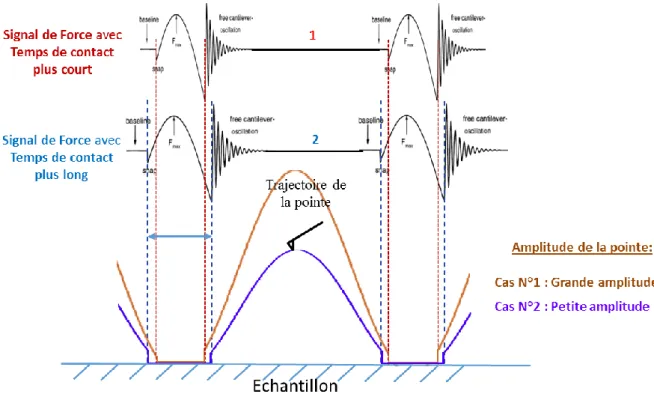 Figure 2-6: Schéma présentant l’influence de l’amplitude d’oscillation sur le temps de contact