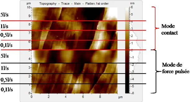 Figure 2-20: Image topographique d'un échantillon de HOPG pour différentes vitesses de balayage (entre 0,1 ligne/s et 5l/s)