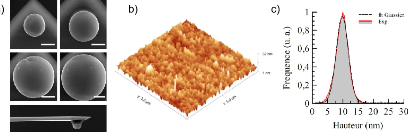 Figure 1 – Micrographies MEB des particules de tungstène greffées sur les leviers AFM (échelle 5 µm)