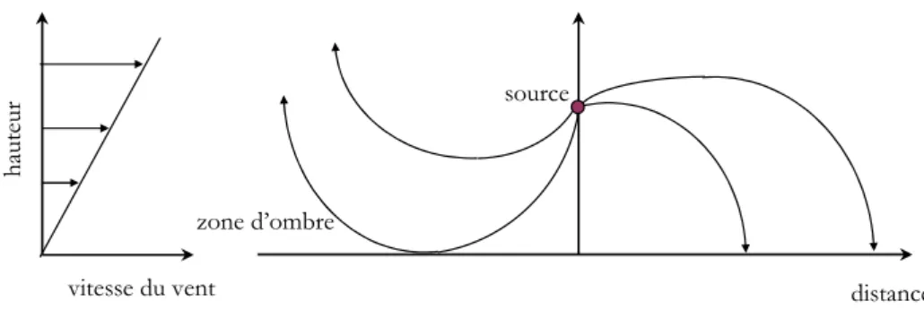 Fig. 1.9 – Effets d’un gradient vertical de vent sur la propagation des rayons sonores en l’absence de gradient de temp´erature.