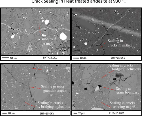 Figure 2.11: Crack sealing observed in intergranular cracks. Bubbles observed in the melt  which seals the cracks