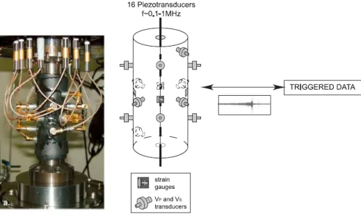 Figure 2. Ultrasonic sensors and strain gauges glued on samples (adapted from Ougier- Ougier-Simonin et al., 2010, 2011) 