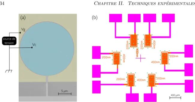 Fig. II.2 Image de surface par microscopie électronique d’une électrode circulaire de 20 µm (à gauche)