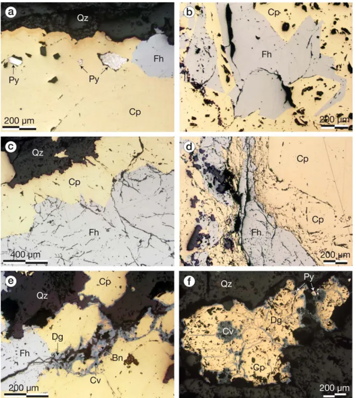 Fig. 4.7 – Microphotographs of typical Barrigão ore assemblages and textures. a – Pyrite (Py, euhedral and aggregate) replacement by chalcopyrite (Cp) and tennantite–tetrahedrite (fahlore, Fh)