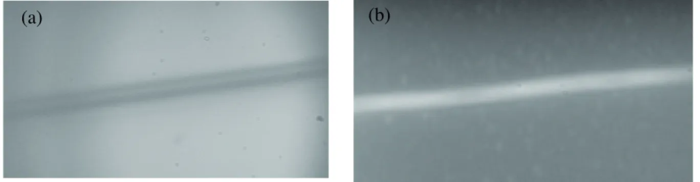 Figure 2.1 : (a) Image de la surface d’un guide d’onde éclairée par une lampe blanche