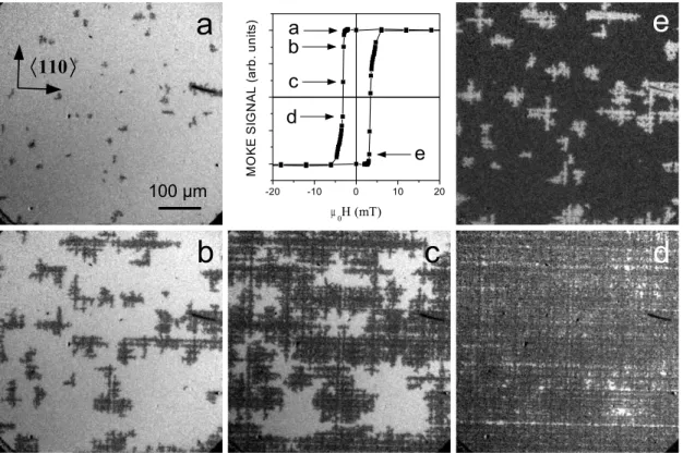 Fig. 3.8: Domaines magn´etiques de la couche 25M05-ag ` a 30 K. Les lettres { a, b, c, d, e } indiquent les valeurs de champ magn´etique auxquelles les images ont ´et´e enregistr´ees.