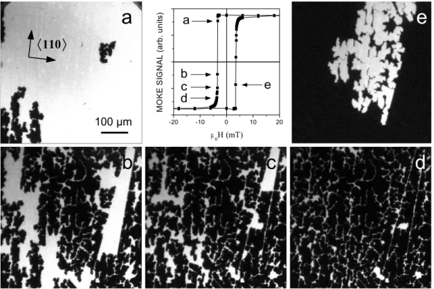 Fig. 3.12: Domaines magn´etiques de la couche 25M05-a `a 30 K. Les lettres { a, b, c, d, e } indiquent les valeurs de champ magn´etique auxquelles les images ont ´et´e enregistr´ees.