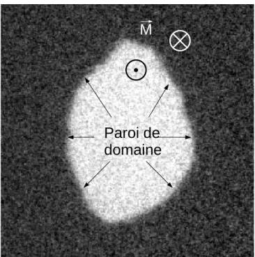Fig. 4.1: Domaines magn´etiques d’aimantation oppos´ee (noir et blanc) observ´es dans une couche de GaMnAs ` a forte anisotropie uniaxiale