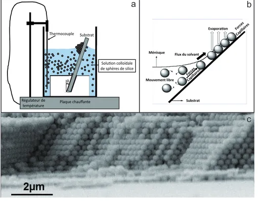 Figure 1.22 – a- Schéma de principe de synthèse d’opale par convection. b- Détail du ménisque lors du dépôt d’une opale par convection