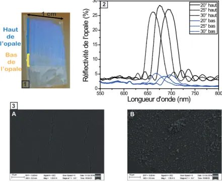 Figure 1.30 – 1- Photographie des 2 parties d’une opale réalisée sur un substrat de verre de 1 mm d’épaisseur déposé avec un angle d’inclinaison de 30° par rapport à la verticale dans une solution à une concentration de 1,5% W/V de billes de silice de 343 