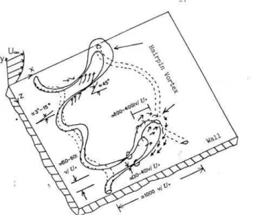 Figure II-4 : Illustration du bursting process, dans laquelle apparaissent deux hairpin vortex (Nezu  and Nakagawa, 1993) 