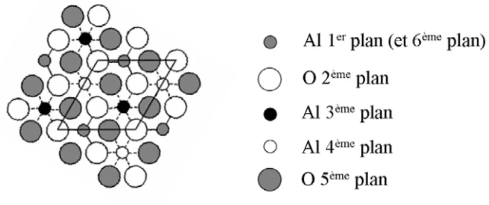Fig. 2.4: Représentation schématique de la surface non reconstruite (structure (1 × 1)) de l’alumine α massive terminée par un plan d’Al (coupure en A sur la Figure 2.3), d’après la référence [58]