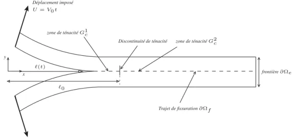 Figure 2. Présentation du modèle DCB utilisé
