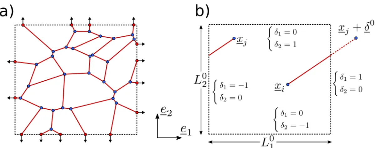 Figure 2.1 – a) Conditions de Dirichlet en déplacement imposé sur les nœuds de frontière du réseau