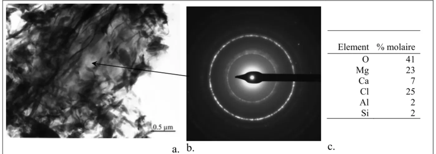 Figure 32 Micrographie MET (a) d’une zone en chevelure d’une saumure carbonatée à pH 9,5 ())