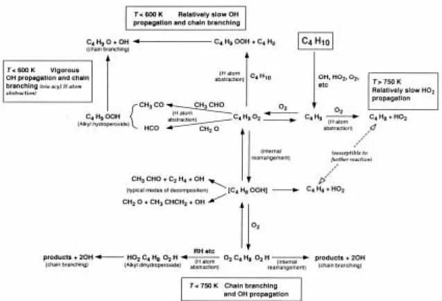 Figure II.1-3 : Représentation schématique de l’oxydation du n-butane de 500 à 850 K  (Griffiths et Barnard, 1995)