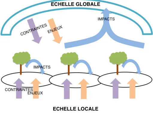 Figure 1.1 – Articulation des échelles globale et locale pour les projets de reforesta- reforesta-tion