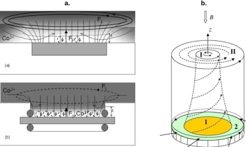Figure 2.7. Configurations des écoulements générés aux bords des électrodes circulaires