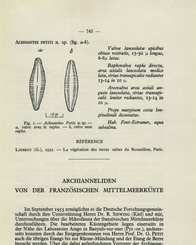 Fig.  1.   —   Achnanthes  Petiti  n.sp. — Hab.  Font-Estramer,  aqua  a,  valve  avec  le  raphe