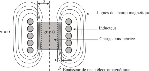 Figure 2.1 : Schéma de la distribution des lignes de flux à l’interieur de la  charge conductrice