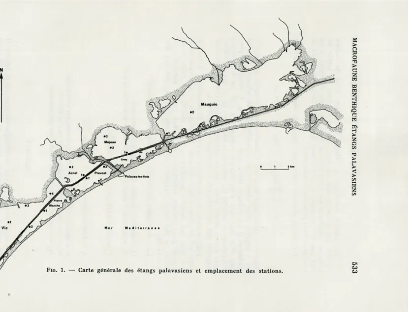 FIG.  1.   —  Carte  générale  des  étangs  palavasiens  et  emplacement  des  stations
