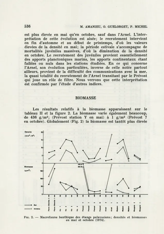FIG.  2.   —  Macrofaune  benthique  des  étangs  palavasiens;  densités  et  biomasses  en  mai  et  octobre  (1974)