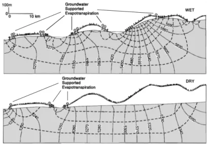 Fig. 1.11 – Schéma illustrant les zones où la nappe contribue aux flux d’évapotranspiration en période humide (haut) et en période sèche (bas), modifié d’après [York et al