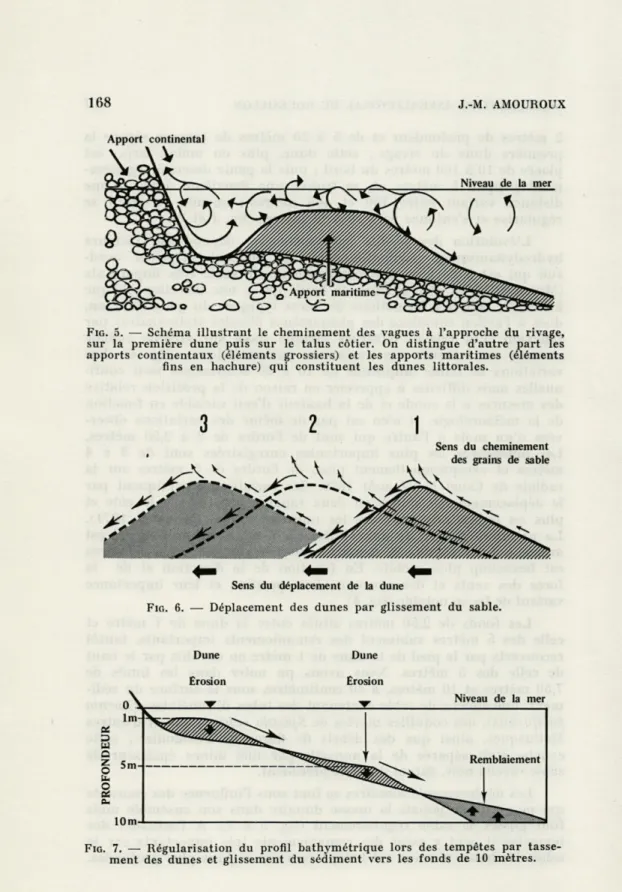 FIG.   5.  —  Schéma  illustrant  le  cheminement  des  vagues  à  l'approche  du  rivage,  sur  la  première  dune  puis  sur  le  talus  côtier