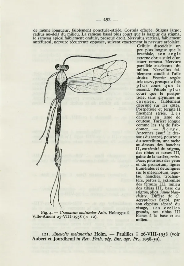 Fig.  4.  —   Cremastus  multicolor  Aub.  Holotype  2  Ville-Amont  25-VIII-1958  ( x  12)