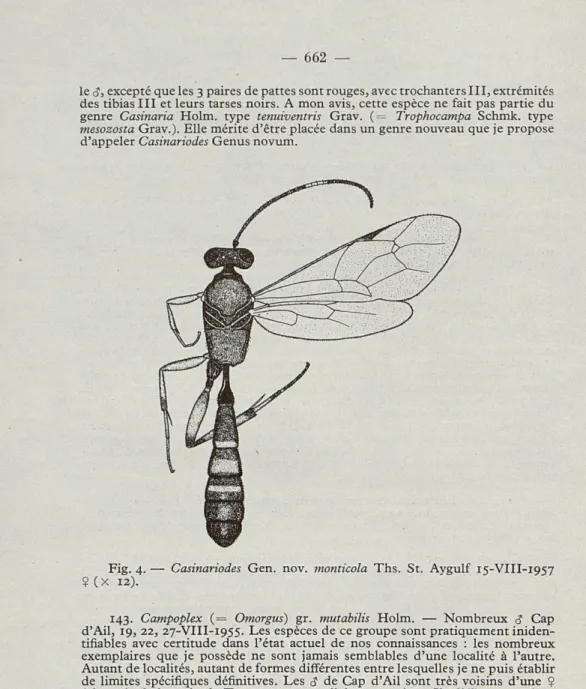 Fig.   4.   —   Casinariodes  Gen.  nov.  monticola  Ths.  St.  Aygulf   15 -VTII -1957 
