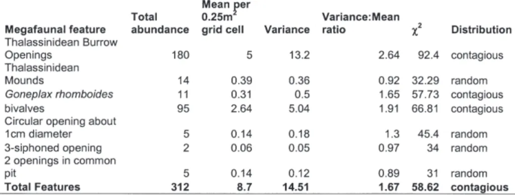 Table IV. – Abundance and distribution of megafaunal surface features across the 3× 3m grid.