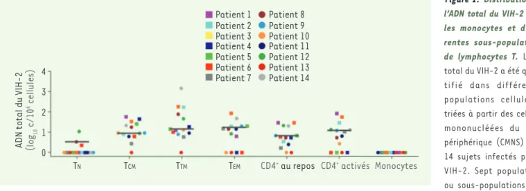 Figure 1. Distribution de  l’ADN total du VIH-2 dans  les monocytes et  diffé-rentes sous-populations  de lymphocytes T