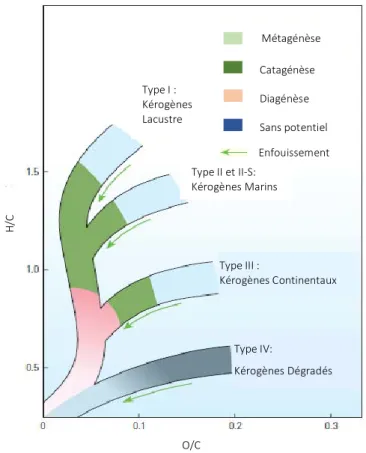 Figure 1- 7. Diagramme de Van Krevelen de maturation de la matière organique. (McCarthy et al., 2011) 